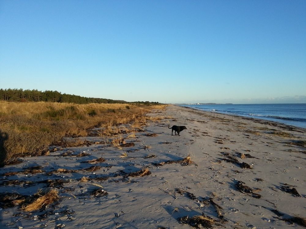 Havlund Grenå